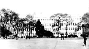 �Ͷ�������Զ��