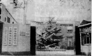 �Ϻ����������