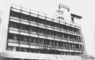 ����¹����籨��