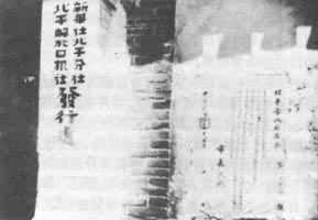 �»��籱ƽ���񱱾������緢�д���1946��