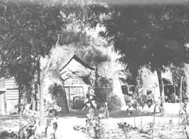 �»���ԭַ���Ӱ�����ɽ��