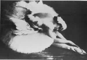 ��.��.�͸����ޱ��ݵġ����֮����