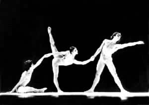 ��ʮ���Ͱ��������ݳ�����