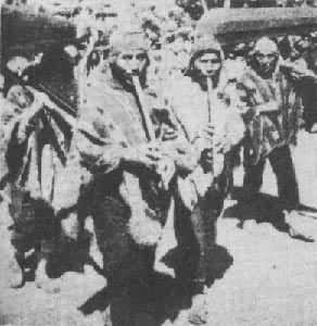 ��³ӡ������̫�����е����ֻ