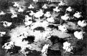 ��硶�������ڲ����޾�Ժ����