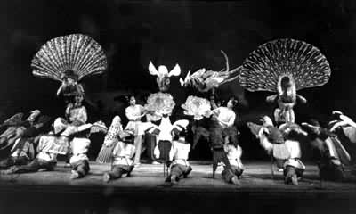 �赸������ơ�