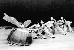 ��ͯ�赸�����ܲ���