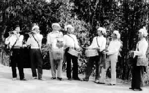 �ı����ֺ���