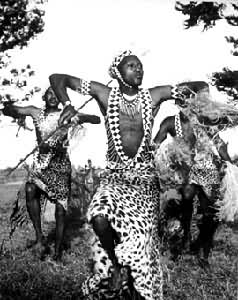 Ӣ������