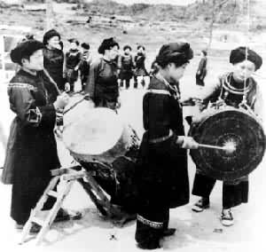 ͭ����ľ�ĺ���