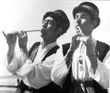 �����ڴ���ӥ��