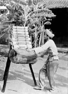 ��������������ٺ�ͲͲ��