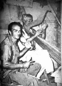 �������������������ɳ�