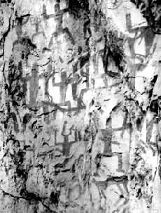 ��ɽ�»����ֲ���