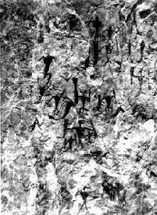 ��Դ�»��ϵĶ�����