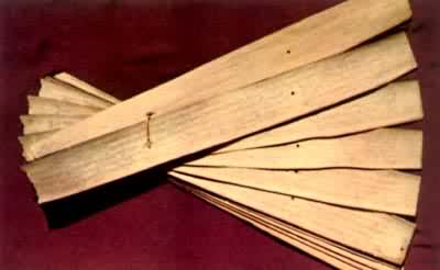 ���ı�Ҷ��������Ү��(����)