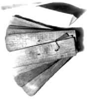 ͼ1 �����ı�Ҷ��