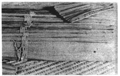 ͼ2 �����ı�Ҷ��