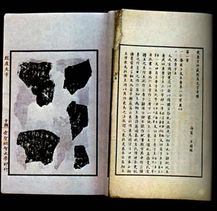 ����ά��������������������ֿ��͡�