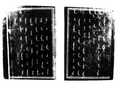 ͼ1 �������ϵ�����Ȧ�㱾