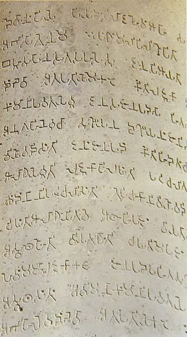 ӡ�Ȱ�����ʨ���ϵ���������ĸ