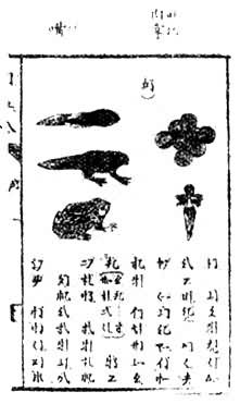 ͼ4 �ٻ���ĸ����