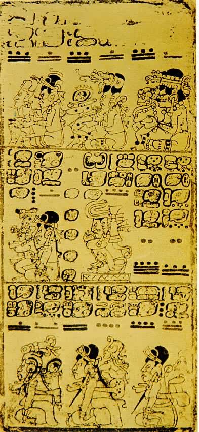 �����ĳ���