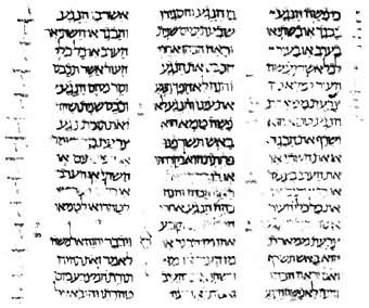 ����Լȫ�顷�е�һҳ