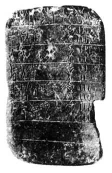 ϣ������������