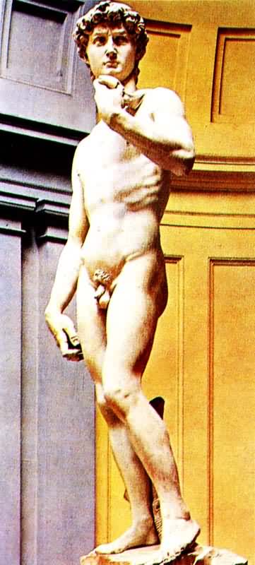 ���������׿�������1501��1504����