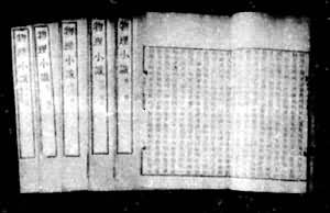 �����ʮ�꿯��