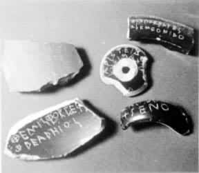 ��ϣ����ͶƱ�þ�