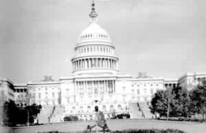 ��������Ρ�����Ժ���ڵ��⾰