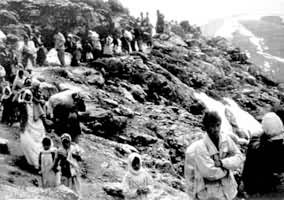 �����˿��������(1991)