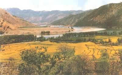 ������һ�婤��ʯ�Ĵ���