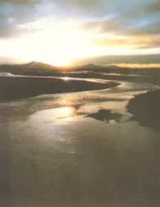 ��Դ������������