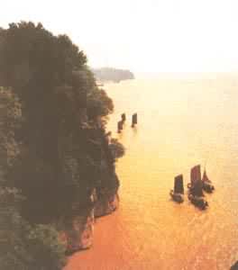 ������Ͽ