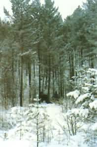 ���˰�������