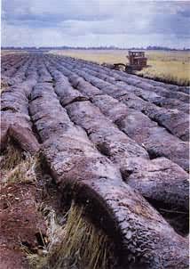 �����Ķ���ƽԭ