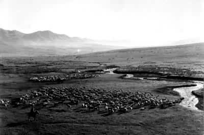 �����������������