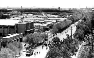 ���ľ�����Ե�ĸ��ľ�н־�