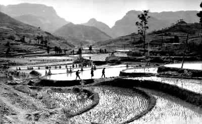 ��������е�����