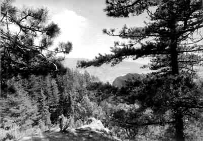 ����ɽ����