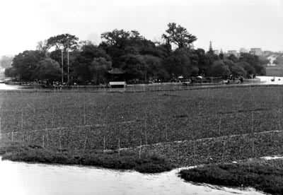 �����Ϻ�