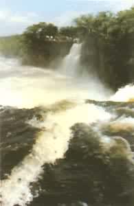 �������ٲ�