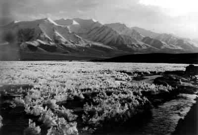 ����ɽ�������ı���