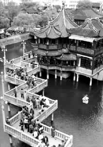 �ϳ�����������