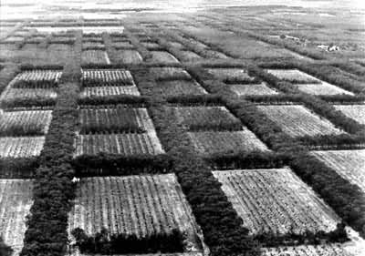 ���ݰ뵺�ķ�����