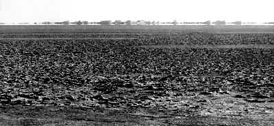 �޲���������¥