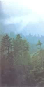 ��ɽ���ȴ�